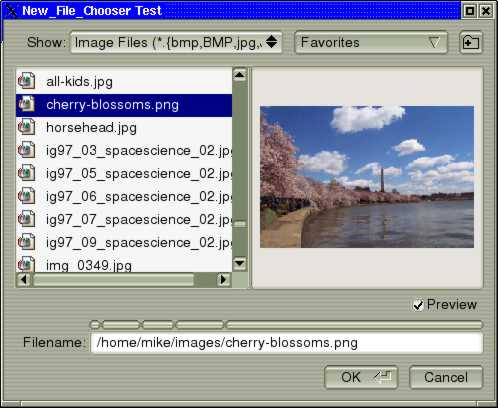 The fl_file_chooser window.